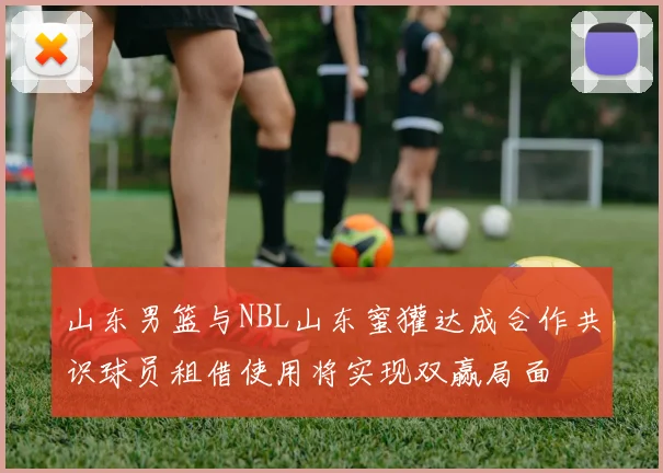 山东男篮与NBL山东蜜獾达成合作共识球员租借使用将实现双赢局面